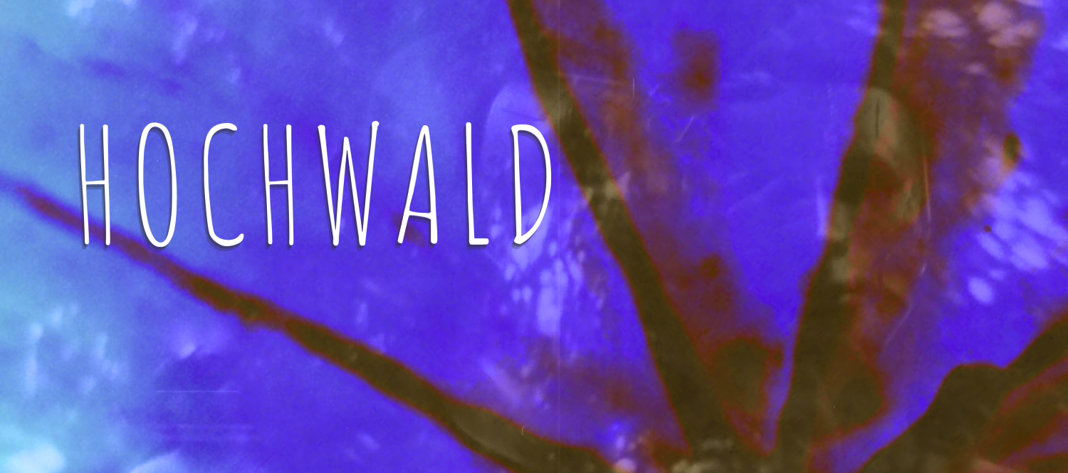 Hochwald